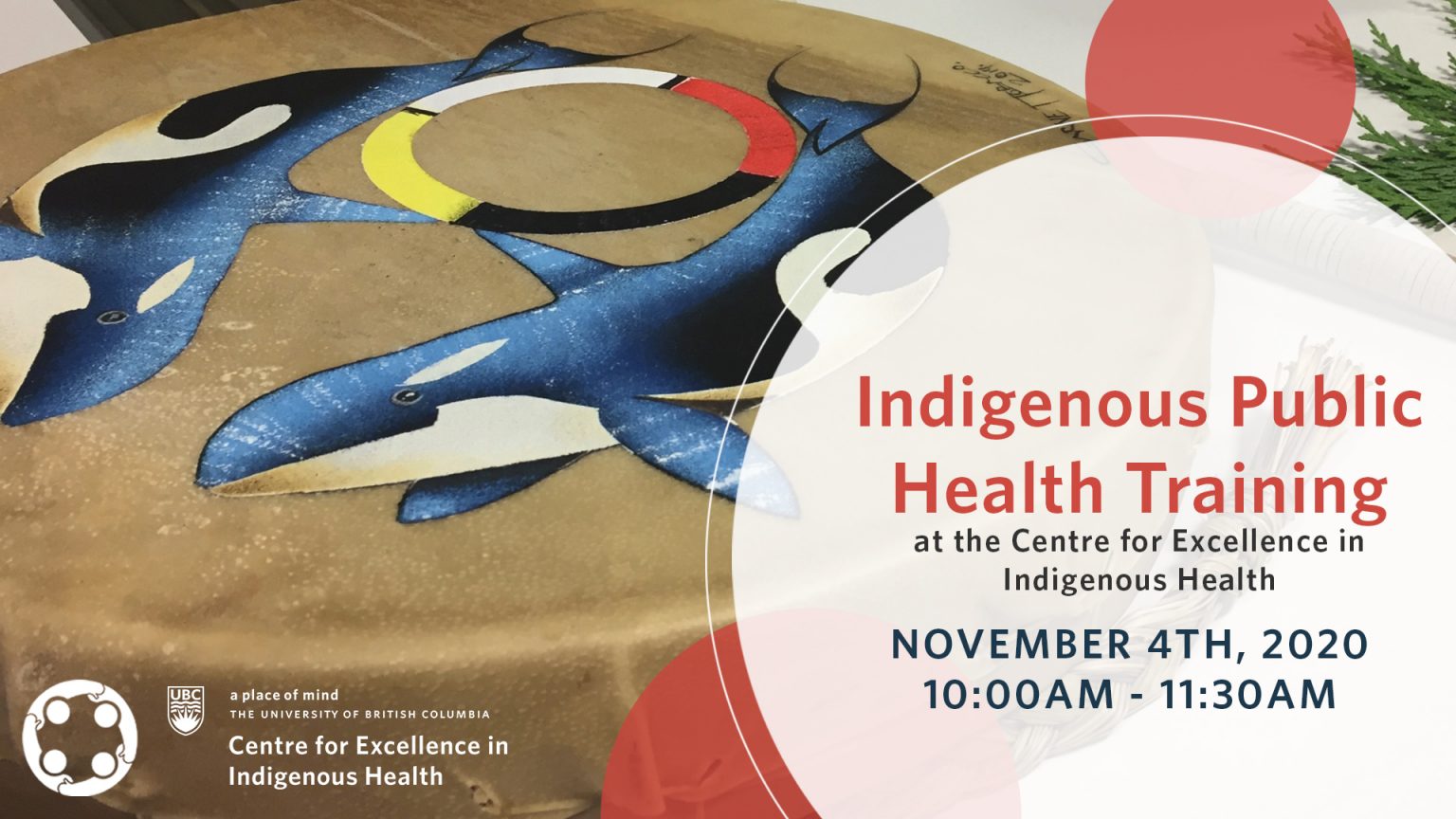 November 4th 2020 Indigenous Public Health Training At The Centre For Excellence In
